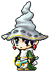 Zoomsang